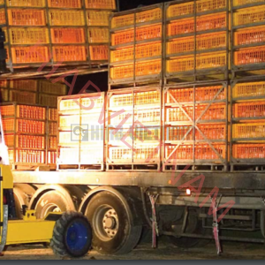 XE NÂNG GẮN XE TẢI MOFFET M9 NX